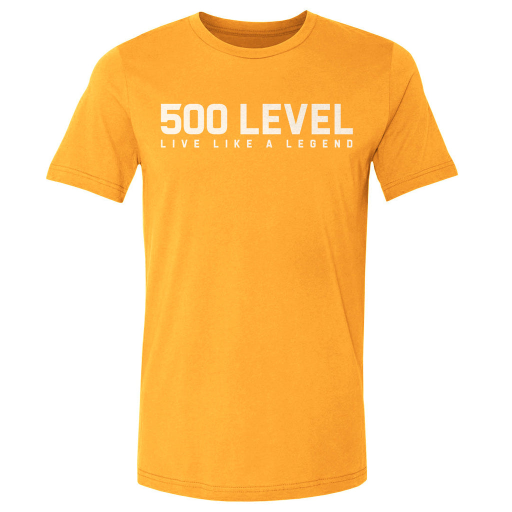 500 LEVEL Wordmark WHT