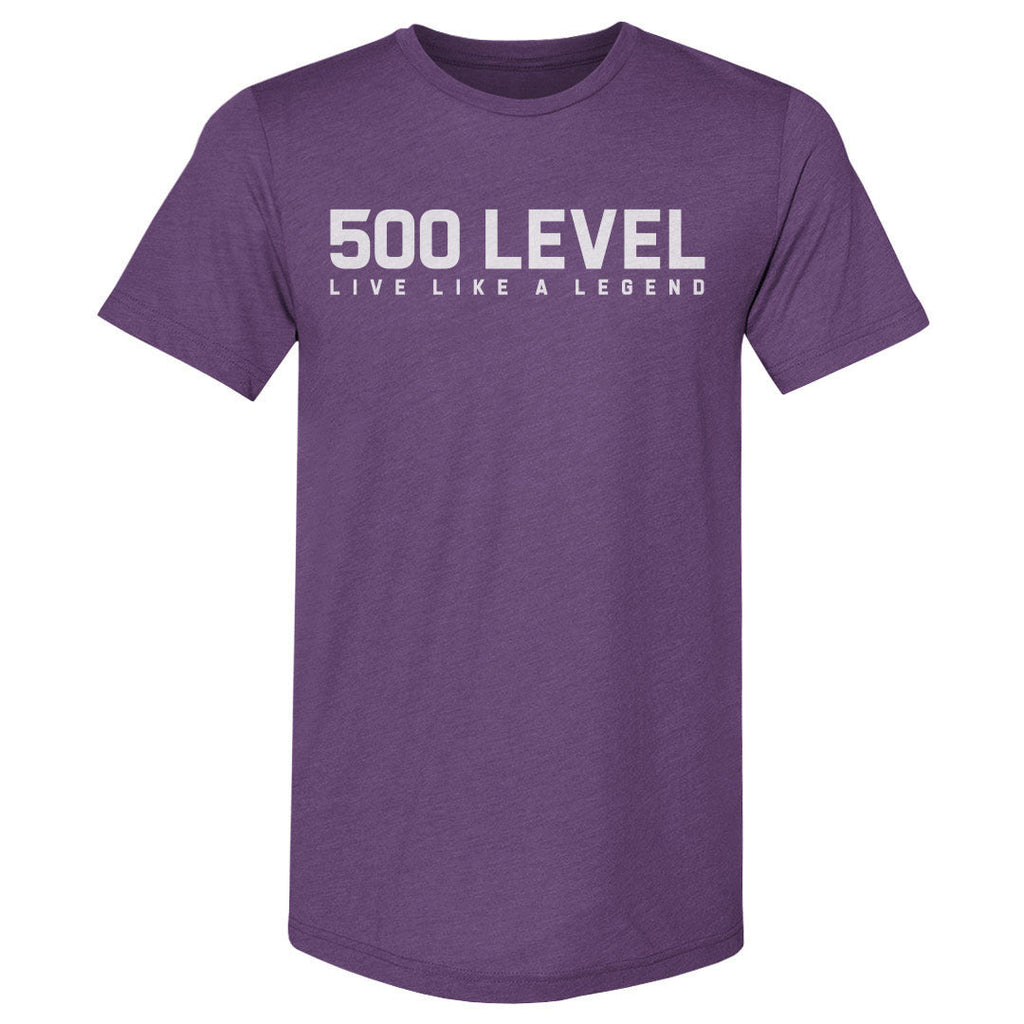 500 LEVEL Wordmark WHT