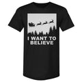 Christmas I Want To Believe WHT