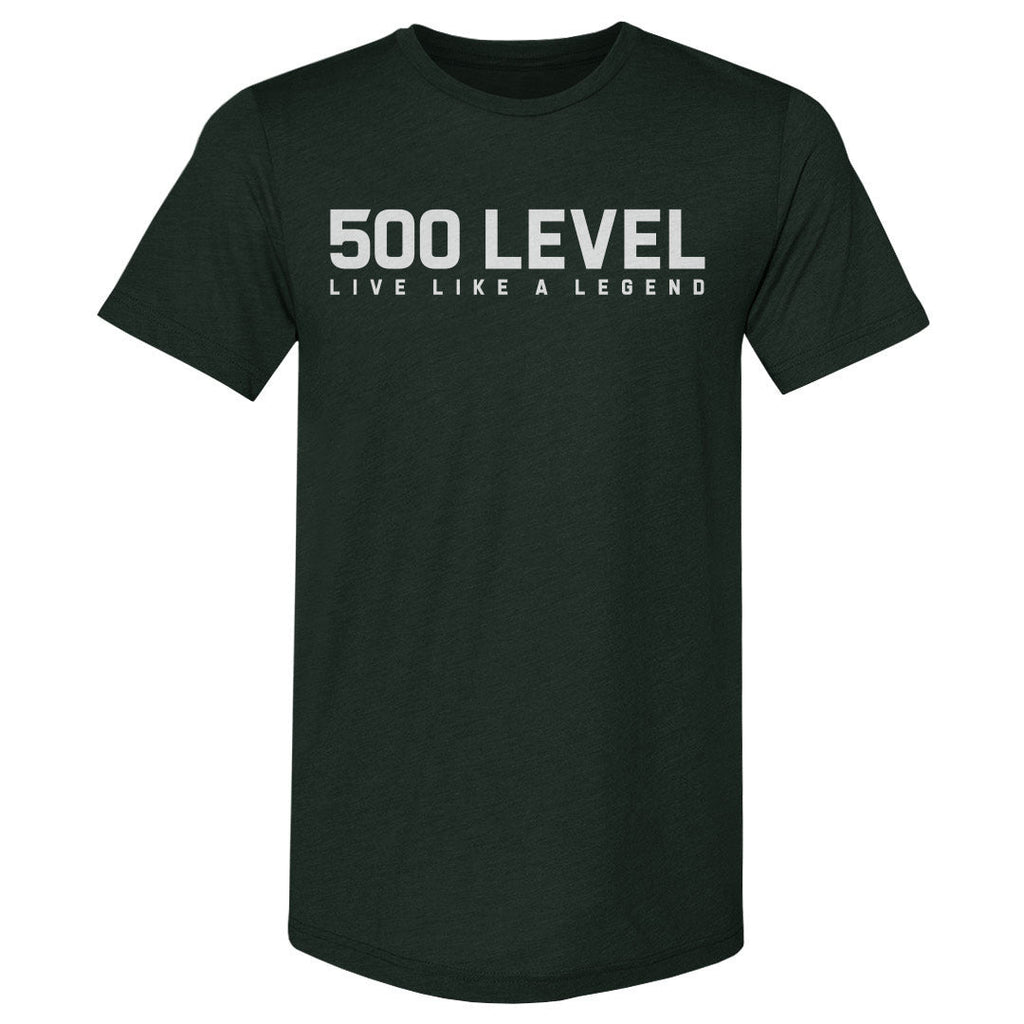 500 LEVEL Wordmark WHT