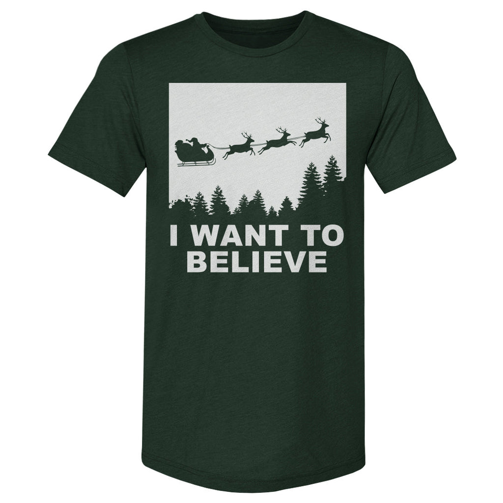 Christmas I Want To Believe WHT