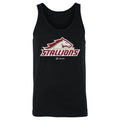 Birmingham Stallions Primary Logo WHT